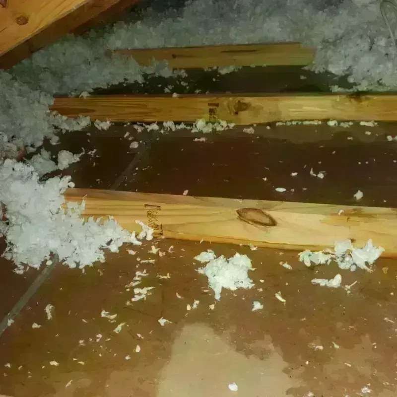 Attic Water Damage in Stonewood, WV